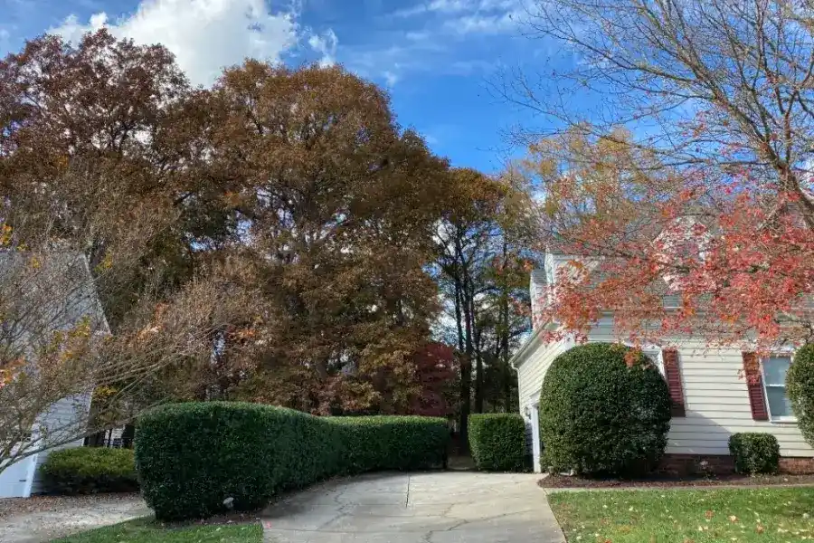 Affordable Landscape Services in Pineville, NC Your Reliable Landscape Contractor in Pineville, NC